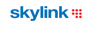 head_skylink_900_300